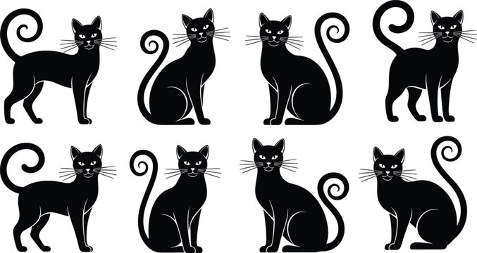 Collection of elegant black cat silhouettes in various sitting and standing poses with curly tails isolated on a white background.