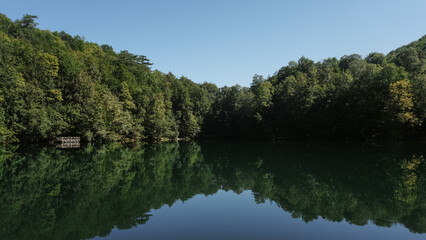 Mirror reflection of trees on calm forest lake
