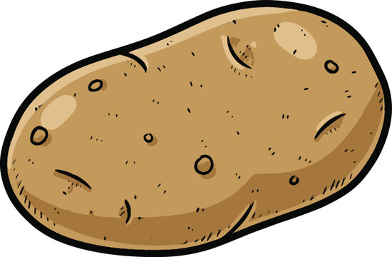 raw potato vector illustration in a hand drawn style with black fill lines and solid color layers simulating organic hand made contours and internal fills for food design