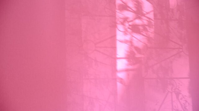 Shadow of big arched window. Window and sunlight, moving shadows on pink coral background with casting floral shadows. Minimal vintage interior decoration. Autumn style aesthetics