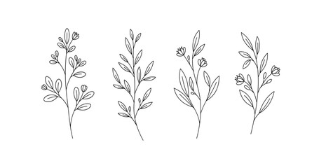 Naklejka premium Minimalist line art: botanical floral sketches of leafy stems and buds