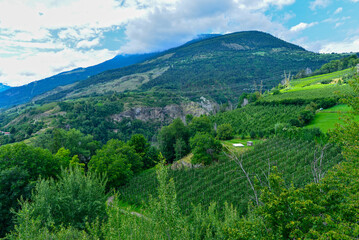 Fototapeta premium Schluderns im Vinschgau (Südtirol, Italien) 