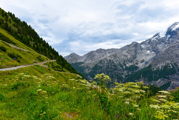 Fototapeta premium Die Stilfser Joch Passstraße im Vinschgau in Südtirol 
