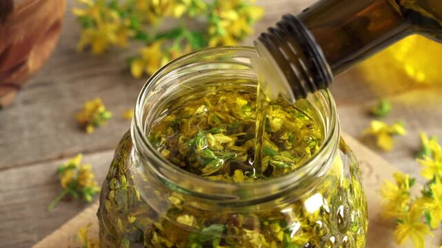 Pouring olive oil into a jar filled with fresh St. John's Wort flowers. Herbal medicine.