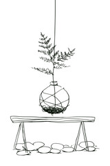 Hanging Kokedama Moss Ball With Fern