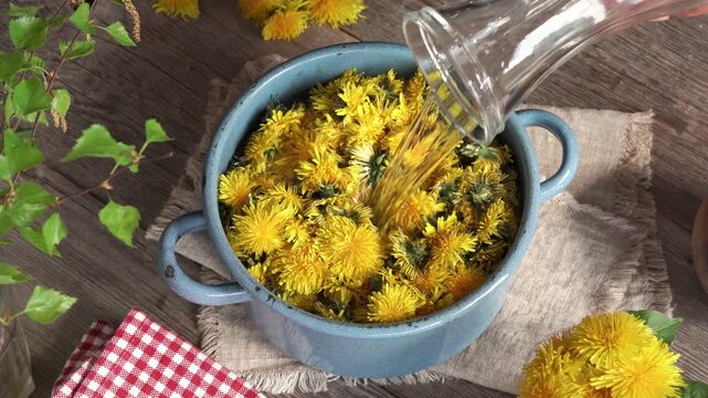 Pouring water into a pot with dandelion flowers harvested in spring to prepare dandelion honey or syrup