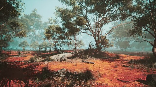 A picturesque landscape reveals rich red earth with patches of green vegetation, scattered rocks, and trees under a clear sky, creating a striking natural setting during midday.