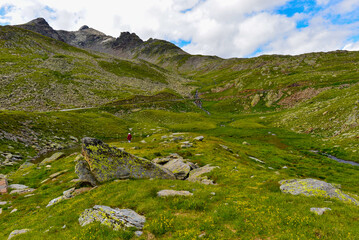 Obraz premium Die Südrampe der Gaviapassstraße (Passo del Gavia) in der italienischen Lombardei