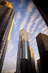 Fototapeta premium View of Chicago Building at Sunrise