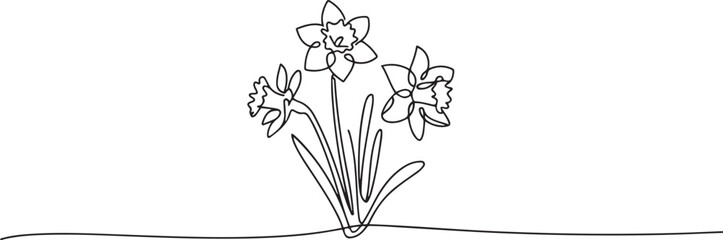 Continuous one line drawing of daffodil flowers. one line art icon drawing vector © mst