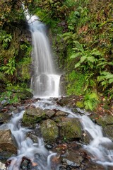 Obraz premium Long exposure of the Hollowbrook waterfall on the South West Coastpath from Woody Bay to Heddons Mouth in Devon