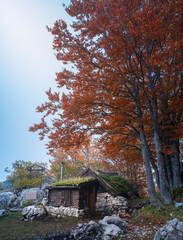 l'autunno nel parco regionale sirente velino in abruzzo dal rifugio la vecchia
