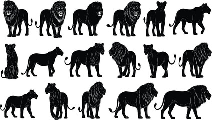 Lion and lioness silhouette vector collection set with pride of African safari wild cats in various poses on white background © Its Saidul 