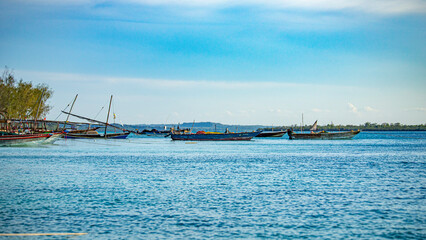 Zanzibar island of Tanzania in indian ocean