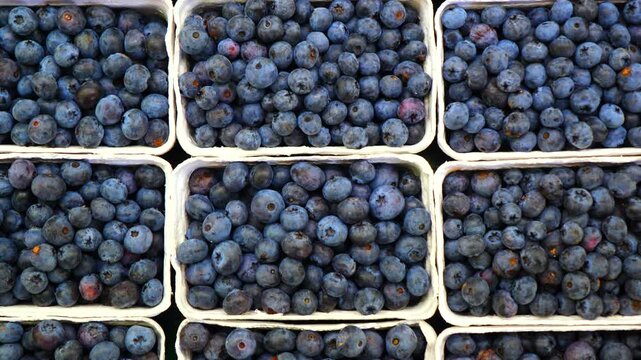 Ripe blueberries filling several cardboard punnets for sale at a local greengrocer. Organic and fresh berries full of vitamins and antioxidants, perfect for a healthy diet and lifestyle