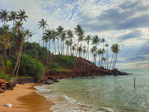 Coconut tree beach in Sri lanka at Indian Ocean
