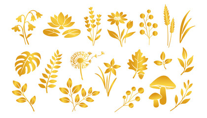 Golden botanical elements featuring various leaves, flowers, plants, and mushrooms. Set of icons for design © Valeriia