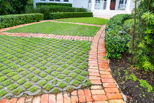 Close-up view of an innovative grass and brick hardscaping combination, ideal for environmentally conscious home garden and driveway solutions.
