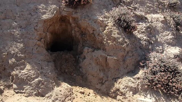 SENDEROS DE LOS PIQUEROS 8 - MAITENCILLO - CHILE