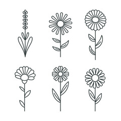Simple outline icons of different flower types and plants