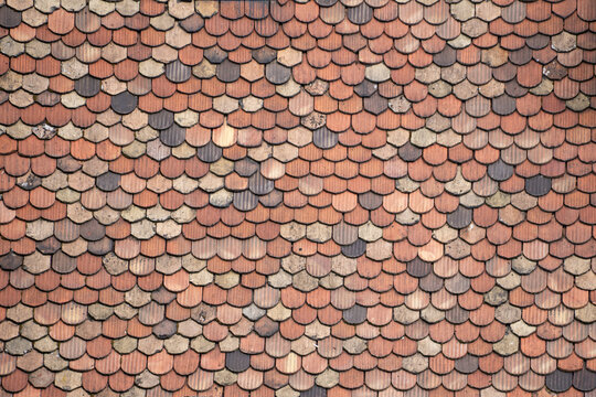 Close-up pattern of scalloped terracotta roof tiles on traditional building exterior