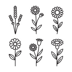 Set of six flower and plants vector illustration outline for your design