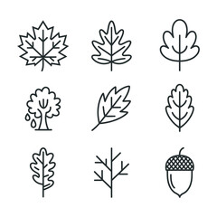 Autumn leaves and acorn icons for seasonal nature design
