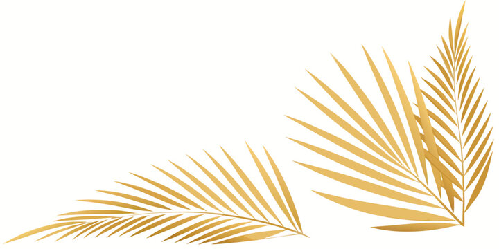 Elegant golden palm leaves are arranged in the corners of this, vector