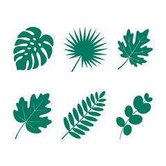 Set of green tropical leaves isolated on white background for summer design