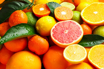 Fototapeta premium Different ripe citrus fruits and leaves with water drops as background, closeup