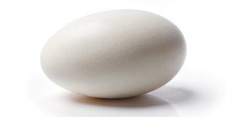 A white egg sits on a clean, smooth surface. The lighting highlights its round shape and texture. The scene is simple, focusing on the egg without distractions or other objects present