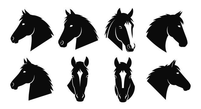 Collection of eight diverse black silhouette horse head profiles and front views showcasing various angles