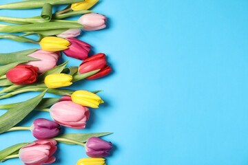 Beautiful colorful tulip flowers on light blue background, flat lay. Space for text