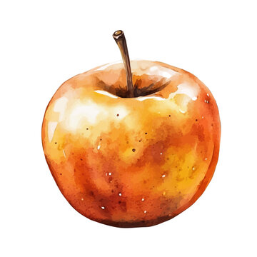 watercolor of Warm Baked Apple With Cinnamon illustration, isolated on a white background.