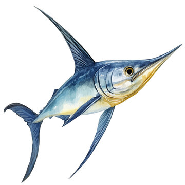 Swordfish Swimming Through The Ocean, illustration watercolor, vector isolated on a white background.