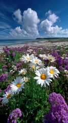 Obraz premium Wildflower meadow under vast blue sky