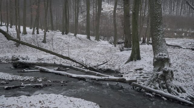 Snowy Forest Stream in Little Carpathians, Slovakia