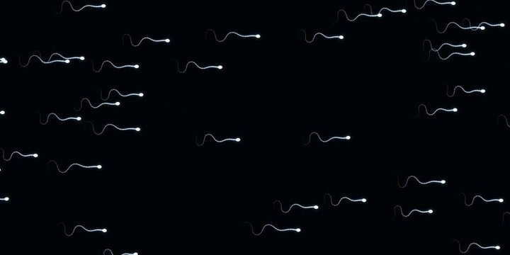 Sperm animation cells floating in dark microscopic environment viewed from above.