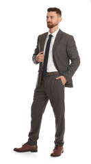 Handsome businessman in suit on white background