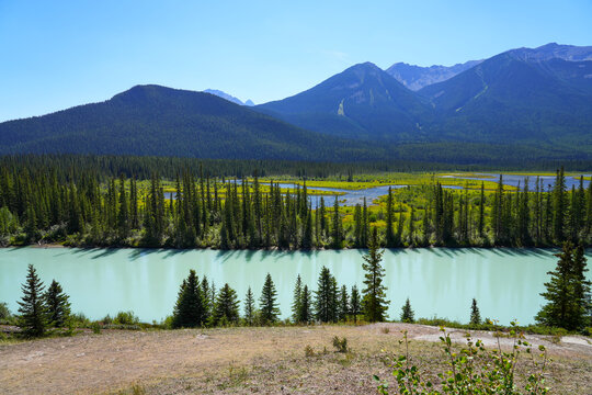 Backswamp next to the Bow River in Banff National Park, Alberta, Canada