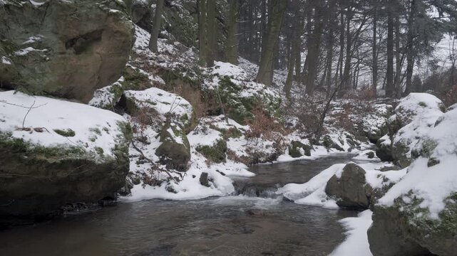 Winter Forest Stream in Little Carpathians, Slovakia
