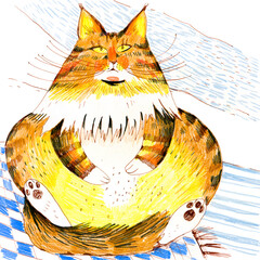 Illustration of a Fluffy Cat Sitting Character