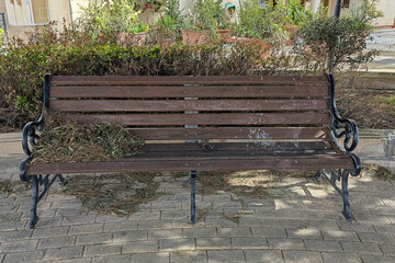 Worn wooden bench with litter and dried plants in neglected park area, quiet gritty urban mood
