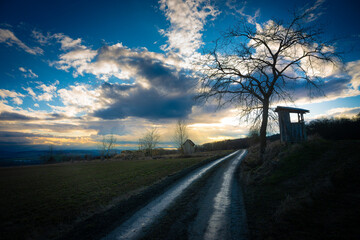 Wenn sich der Fr&uuml;hling ank&uuml;ndigt