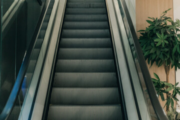 Obraz premium Escalator leading upwards in a modern building with sleek design, surrounded by wooden walls and a green indoor plant on the side