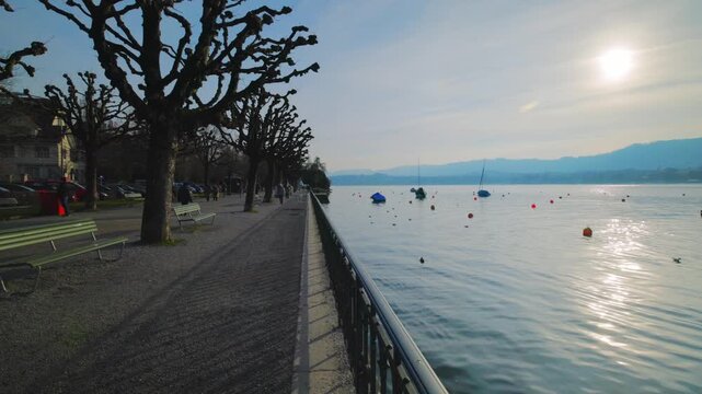 Static shot of the peaceful Lake Zurich promenade featuring empty park benches, rows of leafless winter trees, and a calm water view with distant mountains in Switzerland.