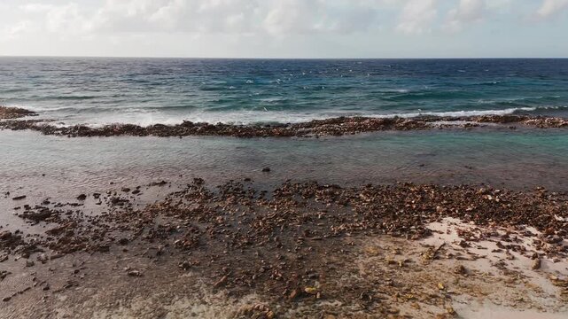 Hermosa toma a&eacute;rea de una bandada de gaviotas volando al amanecer sobre las olas rompiendo a la orilla del mar azul y cristalino de Aruba
