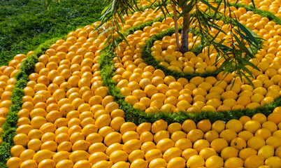 Abstract lemon pattern and green grass, Lemon Festival, Menton, France