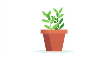 Obraz premium Green plant in a terracotta pot on a white background.