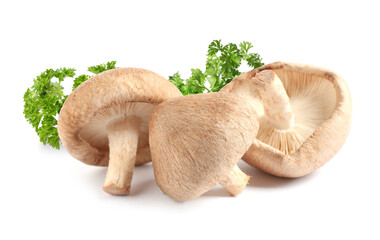 Fototapeta premium Fresh mushrooms and parsley on white background